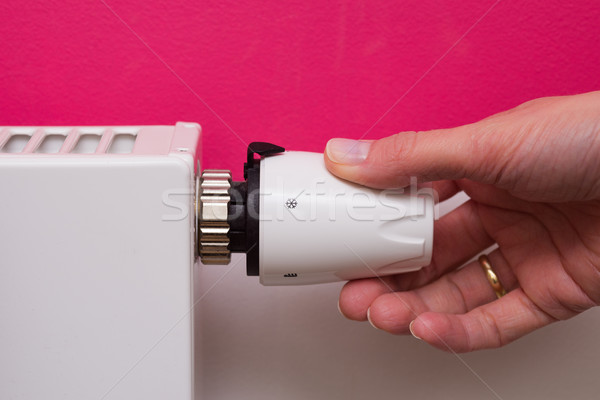 商業照片: 散熱器 · 恆溫器 · 手 · 粉紅色 · 白