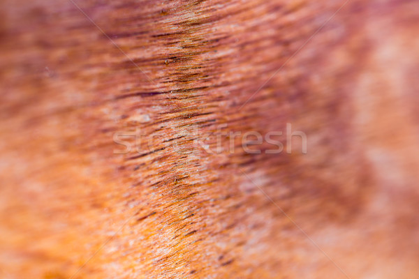 Stock photo: Structure of wooden desk background - shallow depth of field