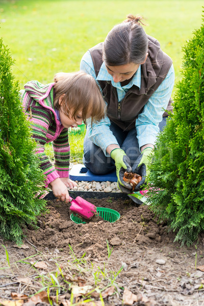 Mother and daughter planting tulip bulbs  Stock photo © bubutu