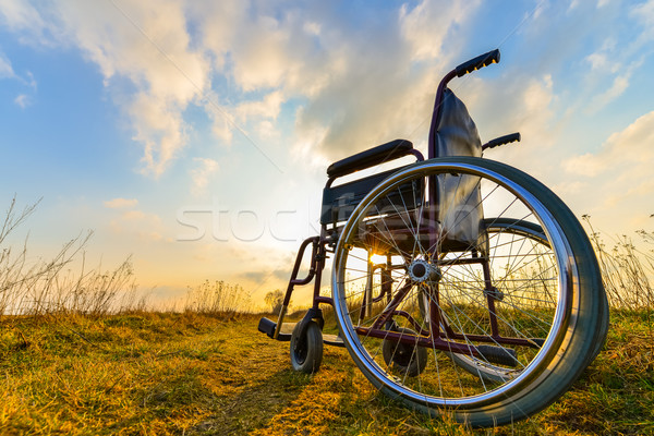 Empty wheelchair on the meadow  Stock photo © bubutu