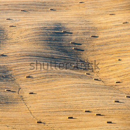 tuscany landscape, Crete Senesi hills, Italy Stock photo © bubutu