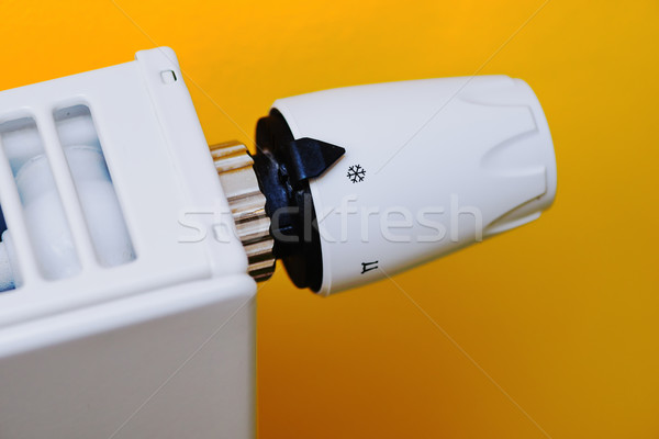 Termóstato válvula econômico energia branco legal Foto stock © bubutu
