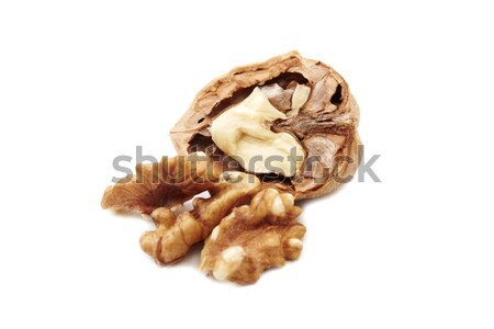 Izolált fehér makró fotó kagyló mag Stock fotó © Bumerizz