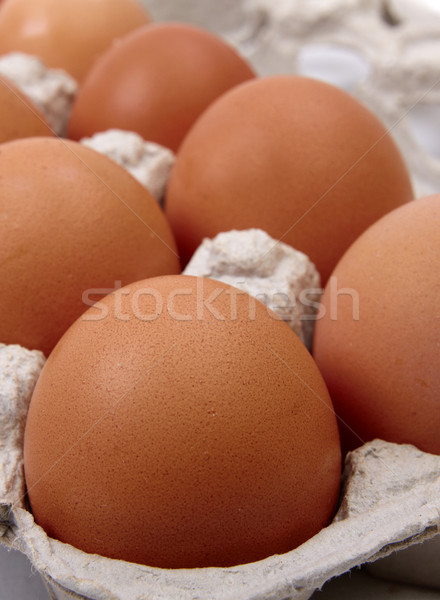 яйца изолированный белый окна куриные Сток-фото © Bumerizz