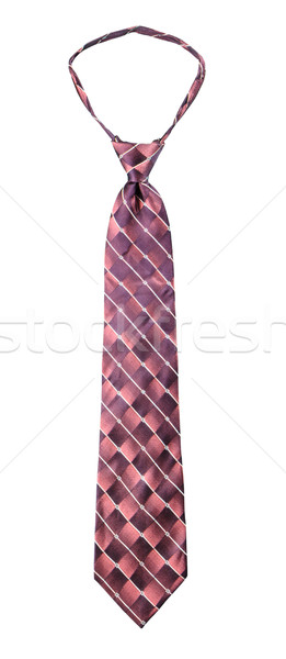 Fancy necktie isolate Stock photo © Bunwit