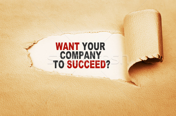 Want Your Company to Succeed Stock photo © burtsevserge