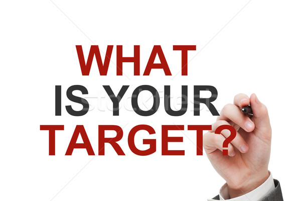 What is Your Target Stock photo © burtsevserge