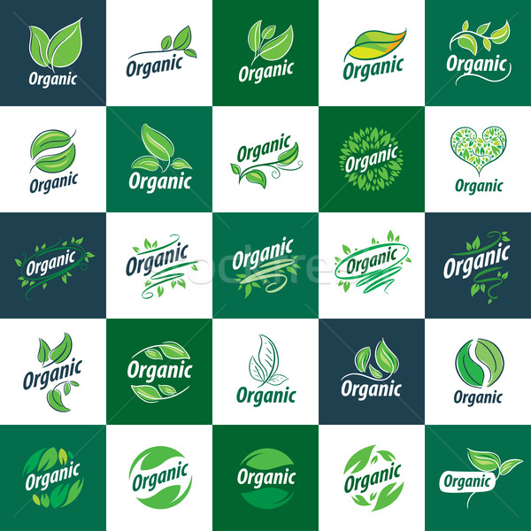 Vector logo orgánico plantilla diseño de logotipo icono Foto stock © butenkow