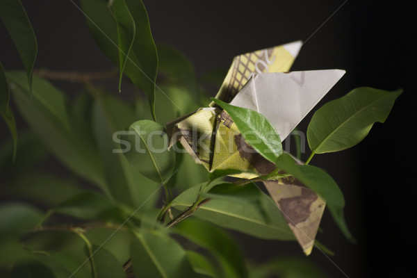 Origami pasăre bancnote şedinţei afaceri Imagine de stoc © butenkow