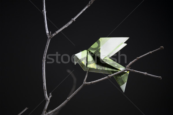 origami bird from banknotes Stock photo © butenkow