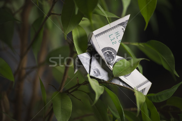 Сток-фото: оригами · птица · сидят · деньги