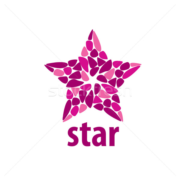 Vector logo star abstract teken branding Stockfoto © butenkow