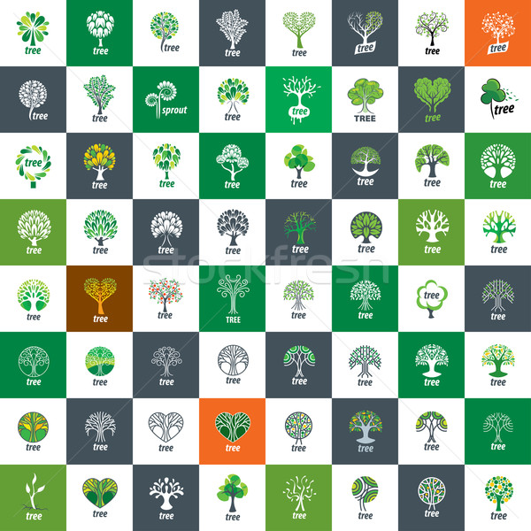 vector logo tree Stock photo © butenkow