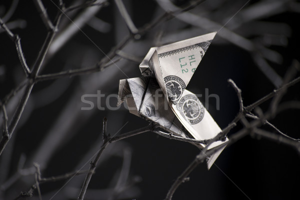 origami bird from banknotes Stock photo © butenkow