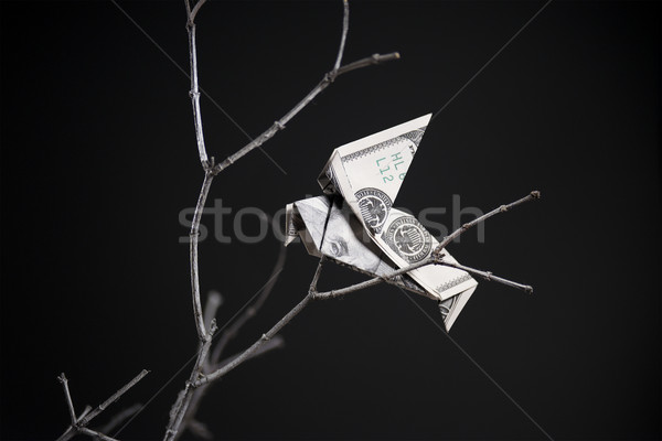 origami bird from banknotes Stock photo © butenkow