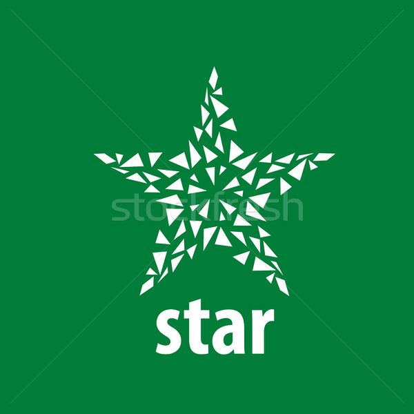 vector logo star Stock photo © butenkow