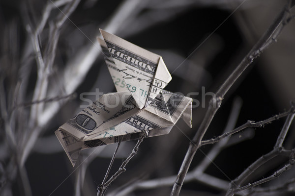 origami bird from banknotes Stock photo © butenkow