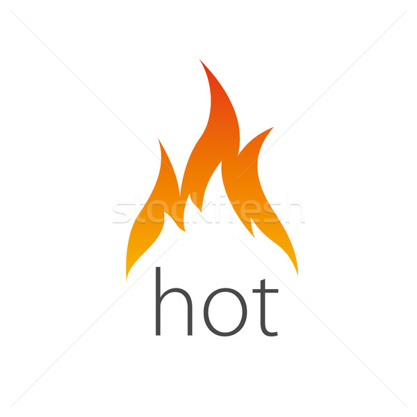 Tűz vektor logo sablon láng üzlet Stock fotó © butenkow