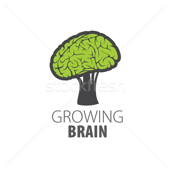 Vector brain logo Stock photo © butenkow