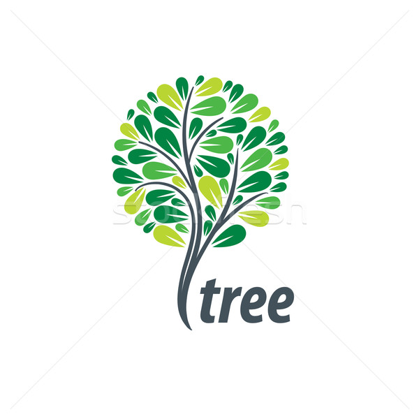 vector logo tree Stock photo © butenkow