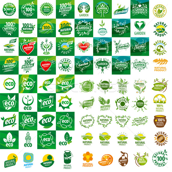 Stock photo: large set of vector logos for natural products
