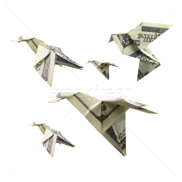 Origami Vogel Banknoten Weiß Geld Natur Stock