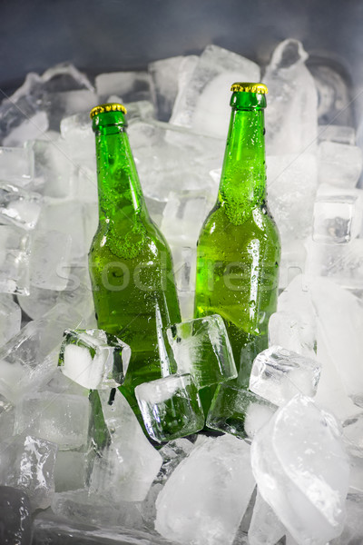 Bottles of beer on ice Stock photo © butenkow