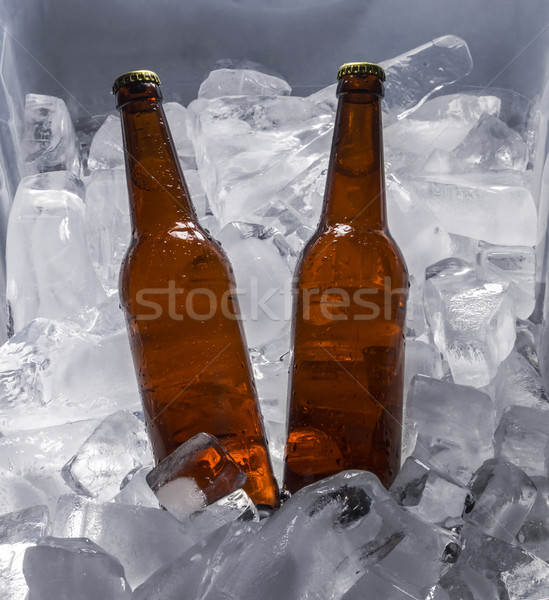 Bottles of beer on ice Stock photo © butenkow