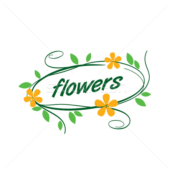 Virág vektor logo absztrakt virágmintás terv növény Stock fotó © butenkow