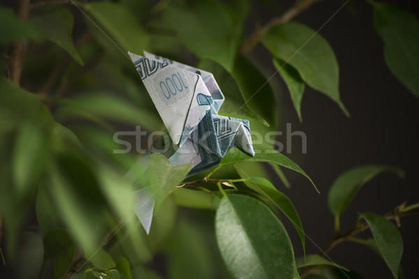 Foto stock: Origami · pássaro · notas · sessão · dinheiro