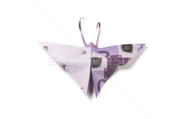 euro in the form of butterflies Stock photo © butenkow