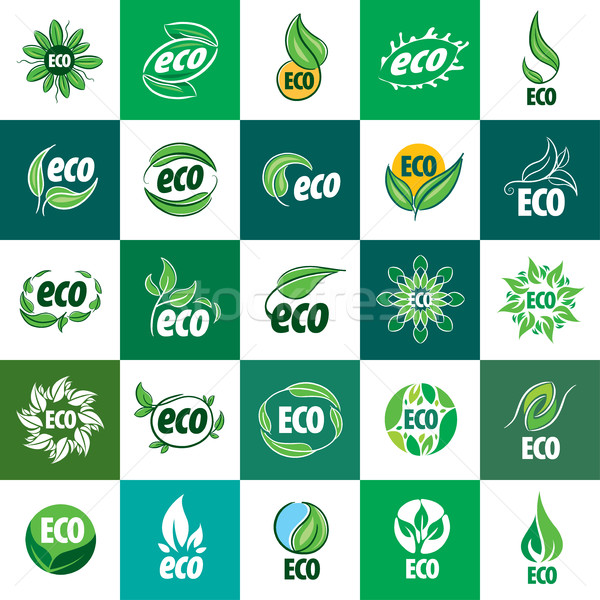 Ikona wektora eco szablon projektu streszczenie Zdjęcia stock © butenkow