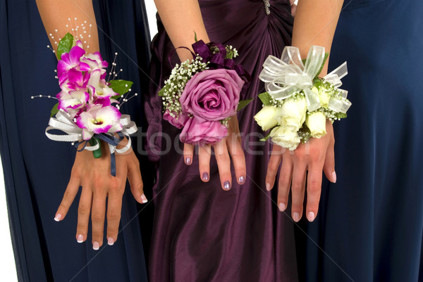 Prom printemps rose feuille roses usine [[stock_photo]] © BVDC