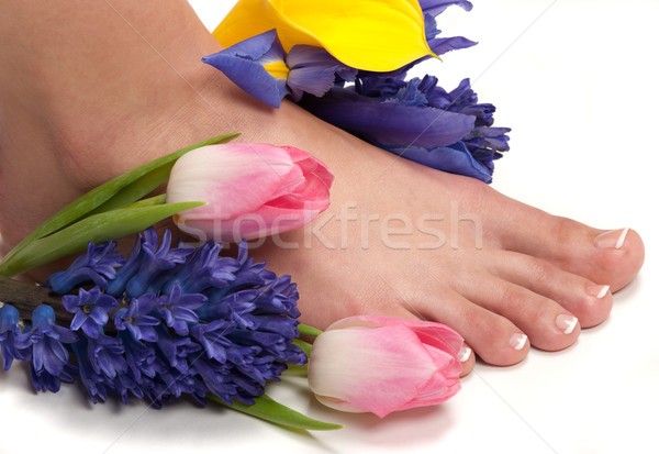 Fürdő láb kezek aromás virágok levél Stock fotó © BVDC