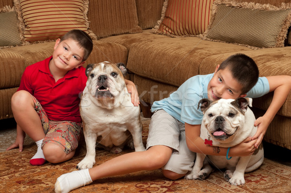 Copii câini animale de companie acasă copil Imagine de stoc © BVDC