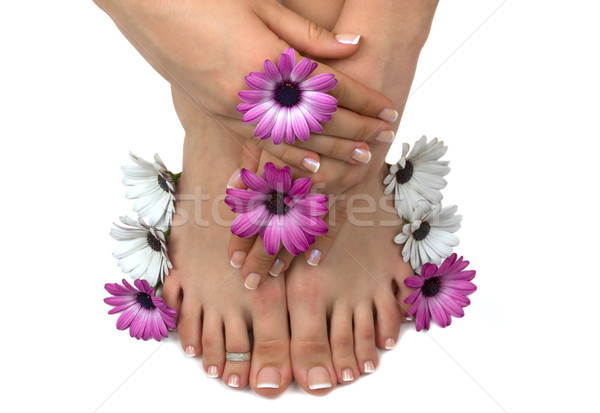 Schönen Fuß Hände farbenreich Frühling Gänseblümchen Stock foto © BVDC