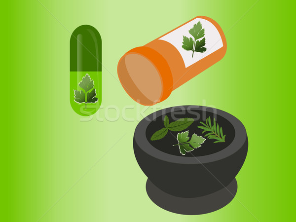 Vektor alternatív gyógymód alternatív természetes gyógymódok levél gyógyszer Stock fotó © BVDC