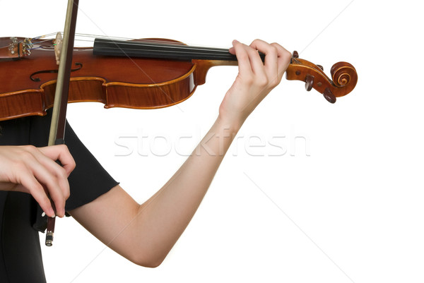 Сток-фото: скрипки · играет · стороны · древесины · искусства · концерта