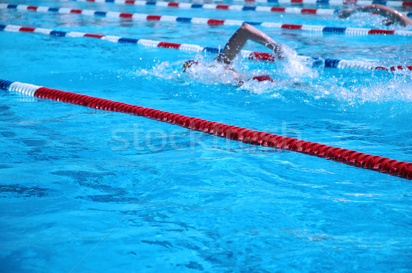 Wody wiosną wykonywania prędkości pływanie pływać Zdjęcia stock © BVDC