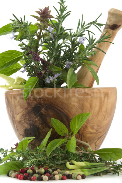 Herbs Stock photo © BVDC