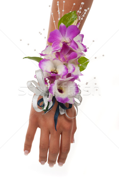 Orchidee prom Hochzeit weiblichen Arm Bouquet Stock foto © BVDC