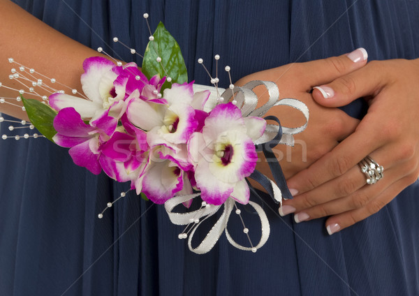 Corsage Stock photo © BVDC