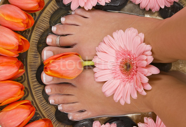 Tratamiento de spa hermosa elegante tulipanes flor pies Foto stock © BVDC