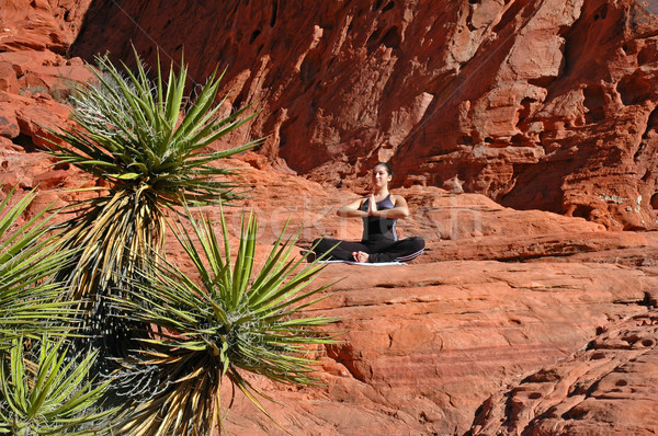 Stock photo: Yoga