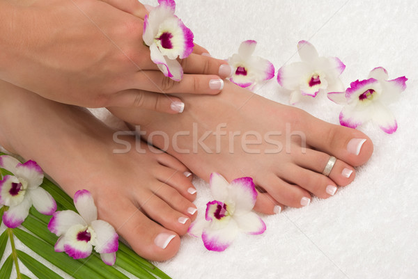 Pedicure tratamiento de spa hermosa exótico orquídeas mujer Foto stock © BVDC