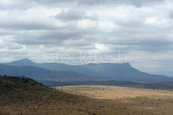Stock photo: Landscape in Tsavo National Park, Kenya
