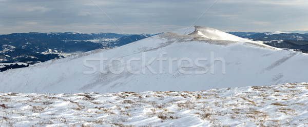 Gyönyörű tél tájkép hegyek erdő nap Stock fotó © byrdyak
