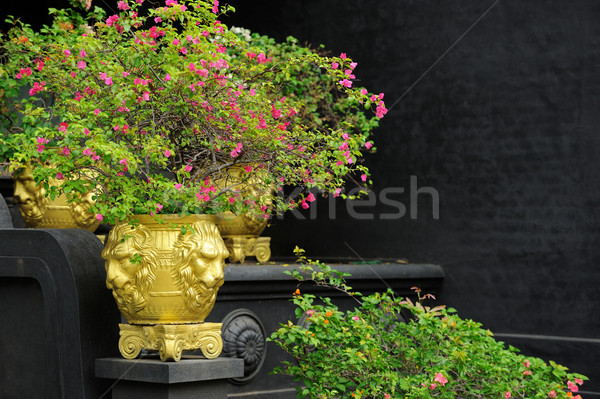 Fleurs vase jardin sombre fleur [[stock_photo]] © byrdyak