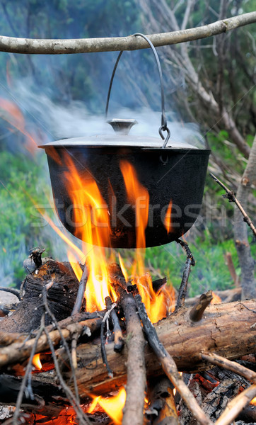 Ketel koken natuur brand bos voedsel Stockfoto © byrdyak