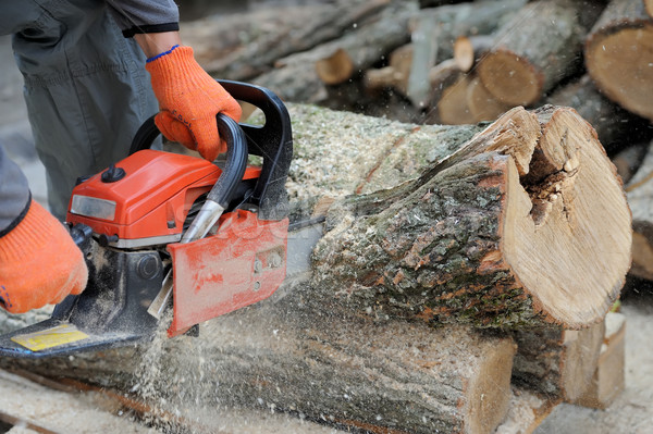 Chainsaw Stock photo © byrdyak